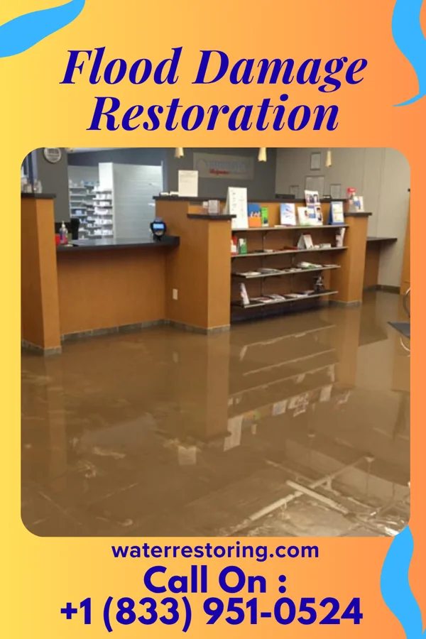 Flood Damage Restoration in Stonewall, NC