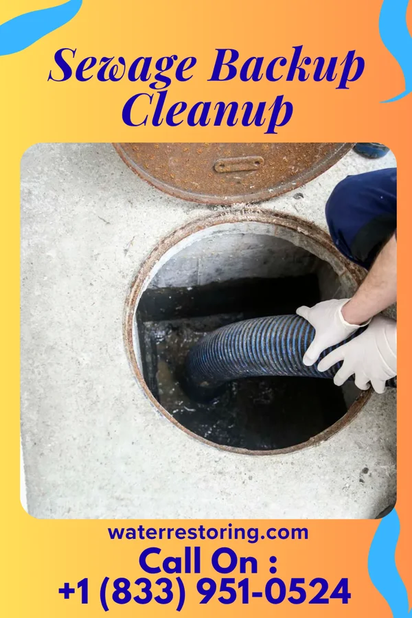 Sewage Backup Cleanup in Stonewall, NC