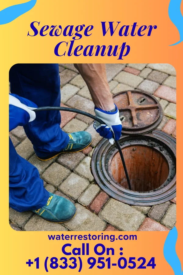 Sewage Water Cleanup in Stonewall, NC
